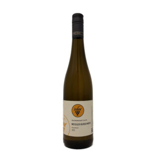 Nr. 13 Weisser Burgunder Kabinett- trocken